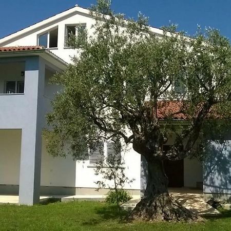 Apartments Villa Ulivo - Apartment Sol Fažana Eksteriør billede