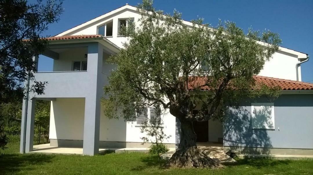 Apartments Villa Ulivo - Apartment Sol Fažana Eksteriør billede